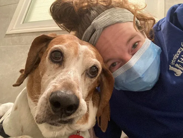 Veterinary Care of Ithaca Picture 8