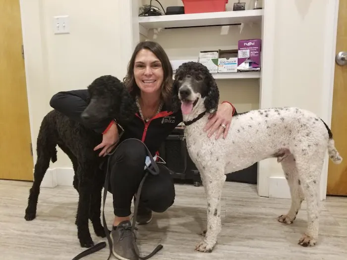 Veterinary Care of Ithaca Picture 10