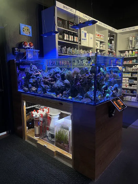 Aquatic Reef Design Picture 1