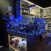 Aquatic Reef Design ico