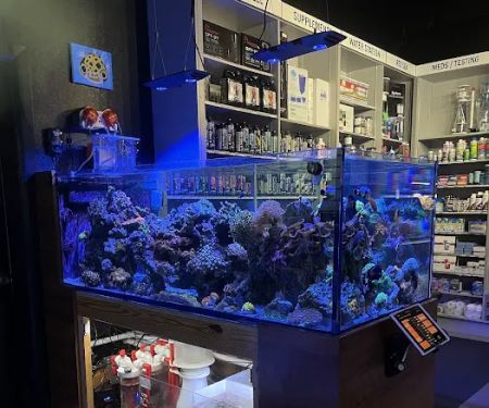 Aquatic Reef Design