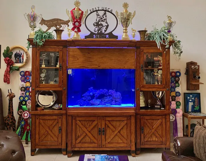 Aquatic Reef Design Picture 10