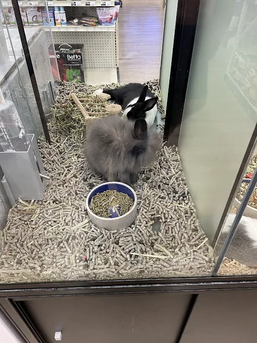 Pet Supermarket Picture 4
