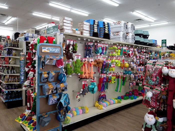 Pet Supermarket Picture 6