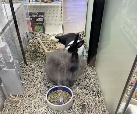 Pet Supermarket