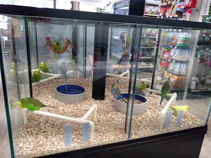 Pet Supermarket Picture 7