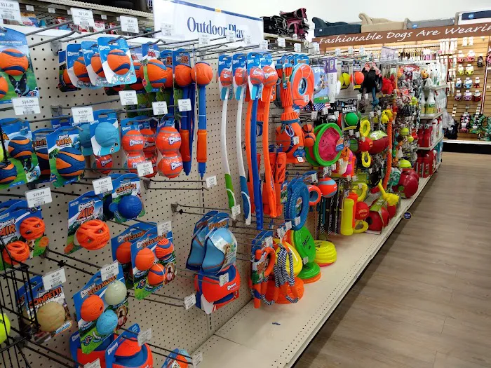 Pet Supermarket Picture 2