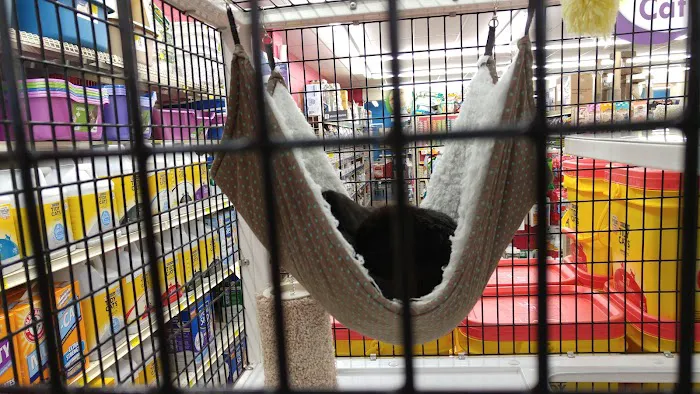 Pet Supermarket Picture 3