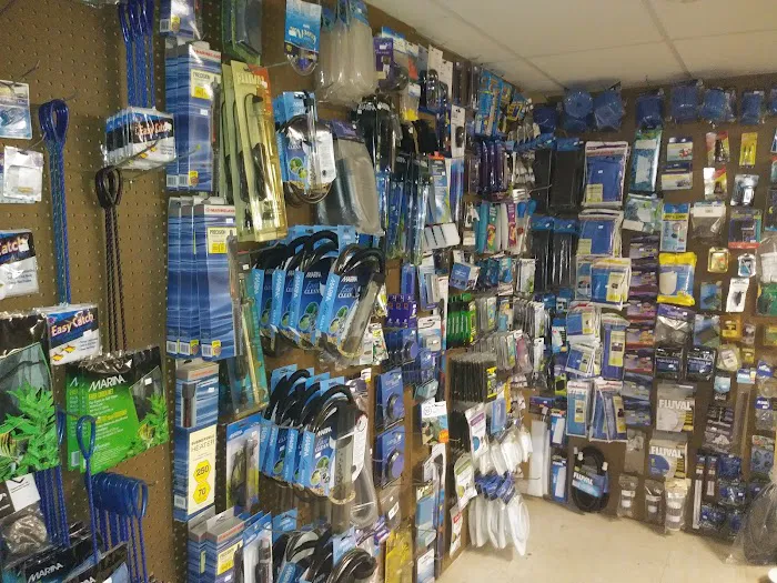 Aqualinks Picture 3