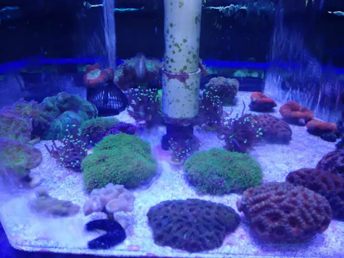 Aqualinks Picture 2