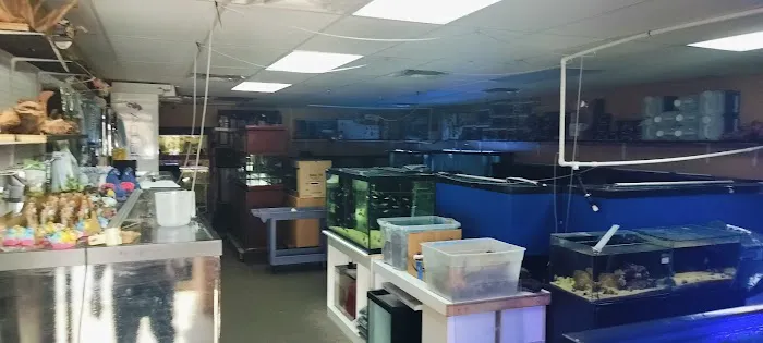 Aqualinks Picture 8