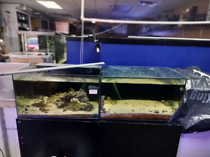 Aqualinks Picture 5