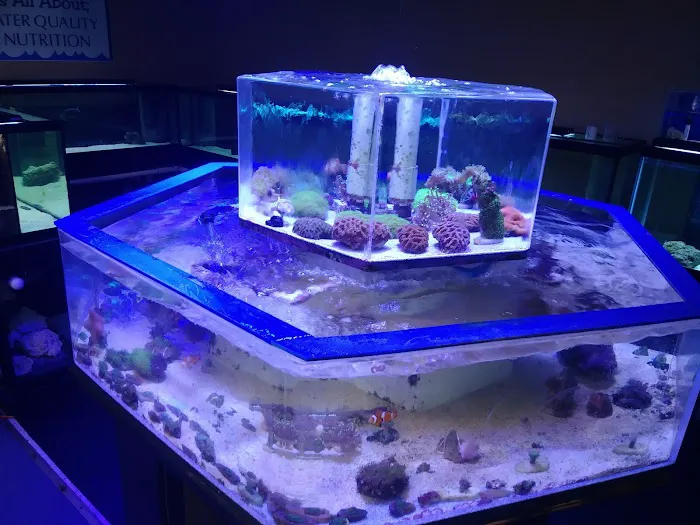 Aqualinks Picture 4