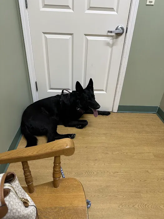 VCA Colonial Animal Hospital Picture 9