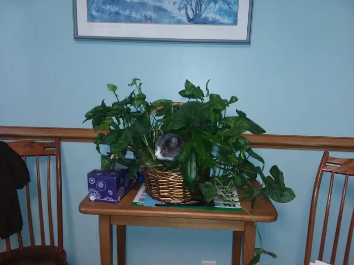 Cayuga Pet Hospital Picture 7