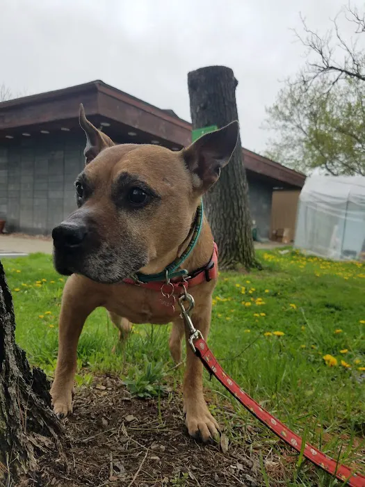 Cayuga Pet Hospital Picture 10