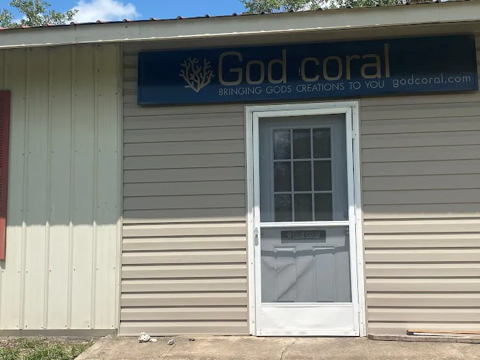 God Coral Picture 2