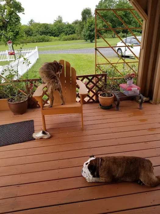 Cortland Veterinary Hospital Picture 1