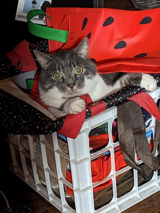 Cortland Veterinary Hospital Picture 4