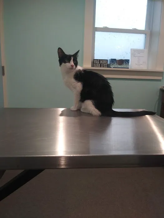 Cortland Veterinary Hospital Picture 5