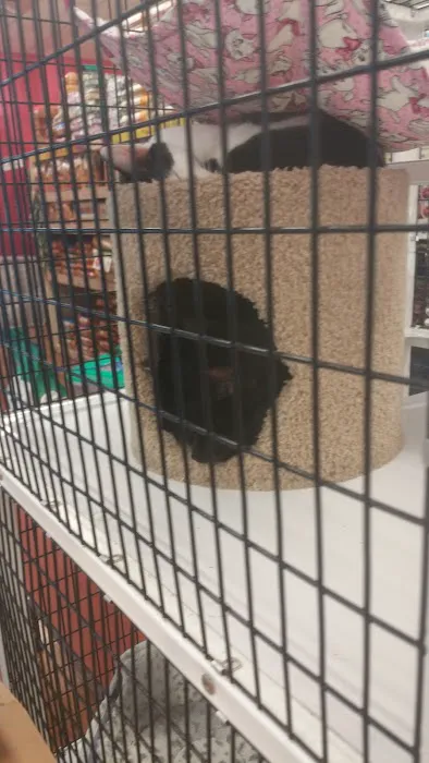Pet Supermarket Picture 2