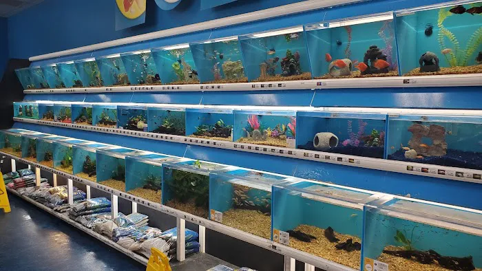 Pet Supermarket Picture 4