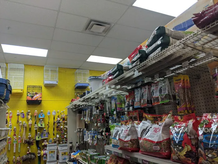 Pet Supermarket Picture 7