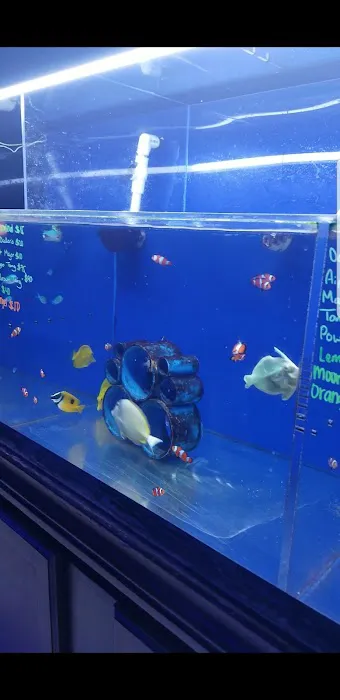 Living Reef Orlando Picture 4