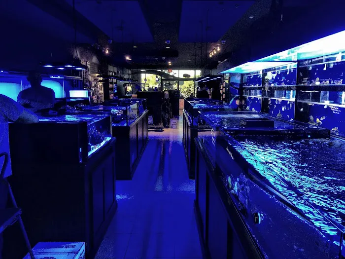 Living Reef Orlando Picture 6