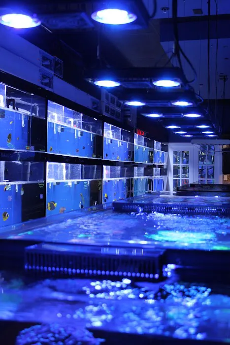 Living Reef Orlando Picture 8
