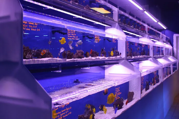 Living Reef Orlando Picture 9