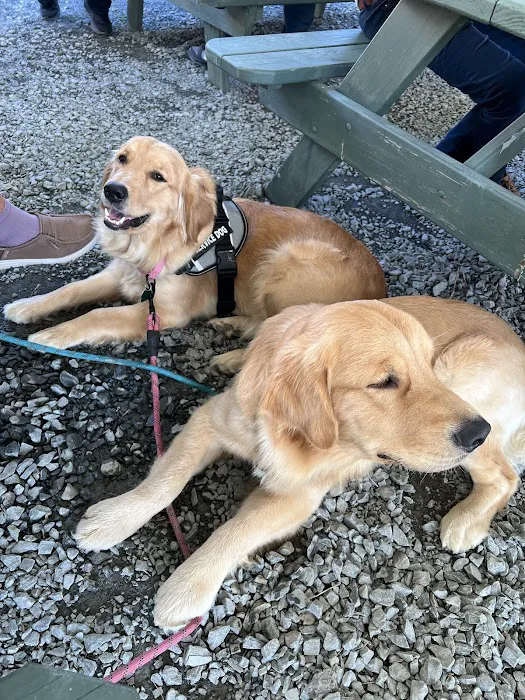 Meadowridge Veterinary Hospital Picture 5
