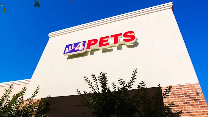 All 4 Pets Avalon Park Picture 2