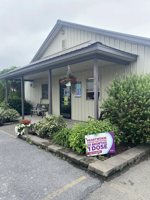 Moravia Veterinary Hospital Picture 3