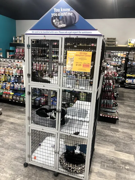 Pet Supermarket Picture 2