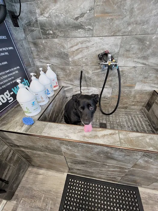 Pet Supermarket Picture 3
