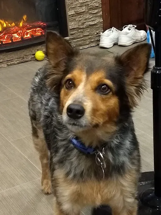 German Flatts Veterinary Clinic Picture 2