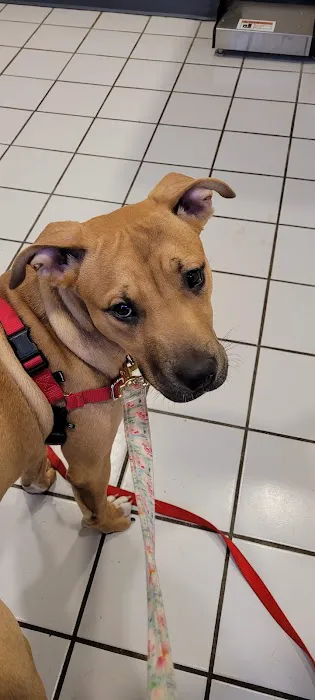 German Flatts Veterinary Clinic Picture 1
