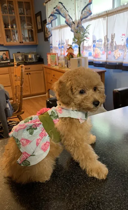 German Flatts Veterinary Clinic Picture 6