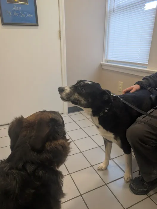 German Flatts Veterinary Clinic Picture 5