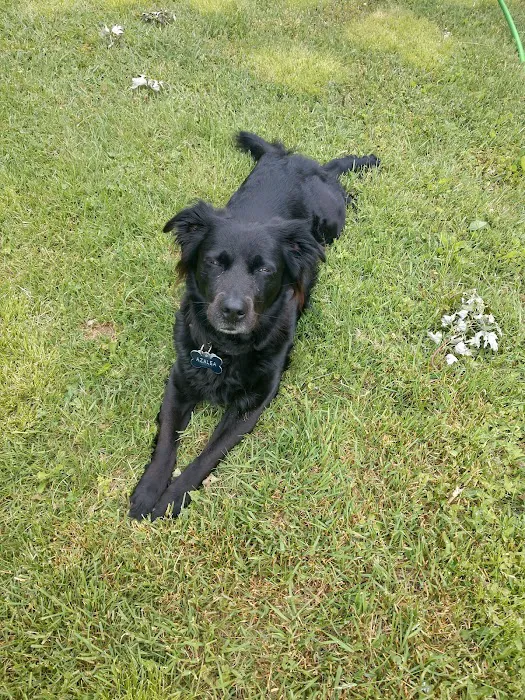 German Flatts Veterinary Clinic Picture 9