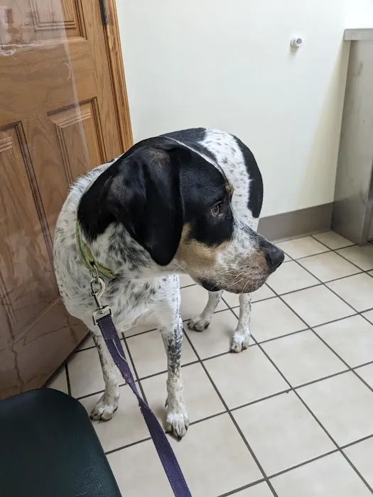 Herkimer Veterinary Associates Picture 5