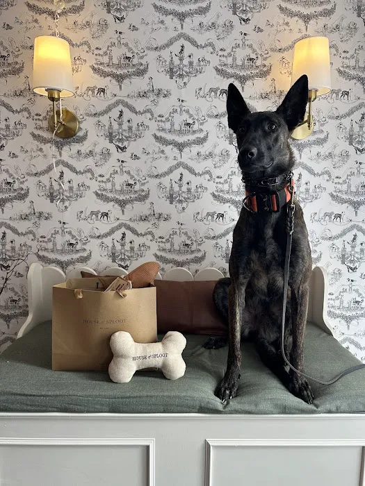 House of Sploot Pet Shop Picture 8