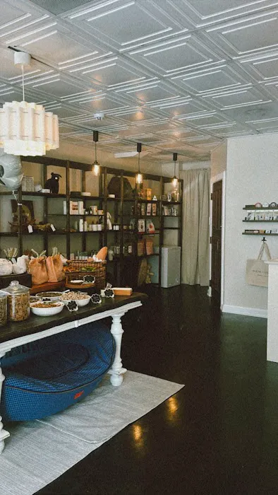 House of Sploot Pet Shop Picture 6