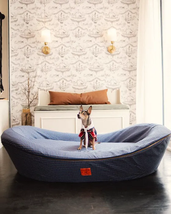 House of Sploot Pet Shop Picture 3