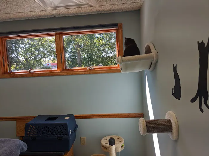 VCA New Hartford Animal Hospital Picture 7