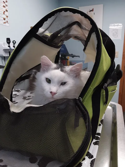 VCA New Hartford Animal Hospital Picture 10
