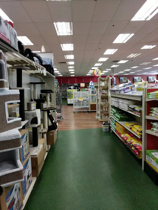 Pet Supermarket Picture 6