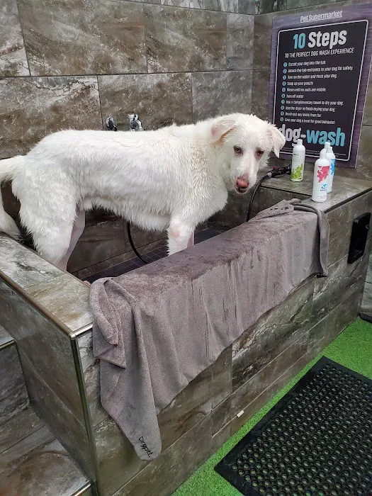Pet Supermarket Picture 9
