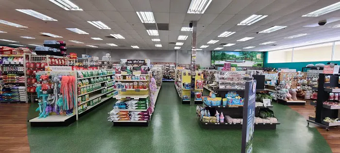 Pet Supermarket Picture 2